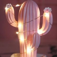 Işıklı Pembe Kaktüs Tasarım Biblo