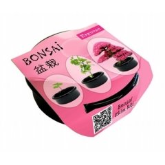 Bonsai Ekim Kiti Erguvan