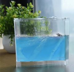 Karınca Akvaryumu Çiftliği