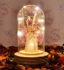 Ölümsüz Aşıklar Işıklı Cam Fanus