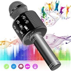 Orjinal Wster Karaoke Mikrofon Bluetooth Hoparlör Siyah