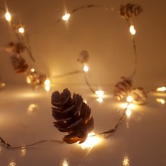 Sonbahar Konseptli Kozalak Dekorlu 2,5 Metre 20 li Peri Şerit Led