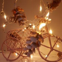 Sonbahar Konseptli Kozalak Dekorlu 2,5 Metre 20 li Peri Şerit Led