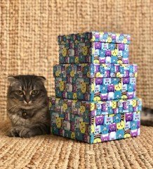 Kedi Tasarımlı 3'lü Kutu