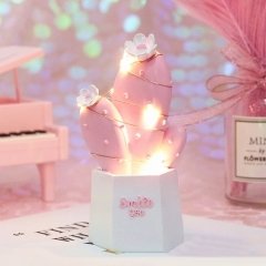 Işıklı Pembe Kaktüs Tasarım Biblo Smile You