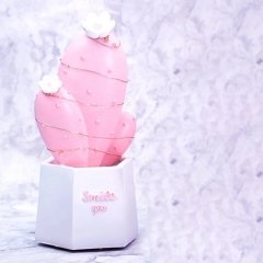 Işıklı Pembe Kaktüs Tasarım Biblo Smile You