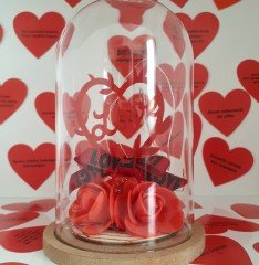 Işıklı Love Fanus