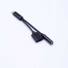 Go Des 2 in 1 Lightning Kulaklık Ve Şarj Dönüştürücü Çevirici