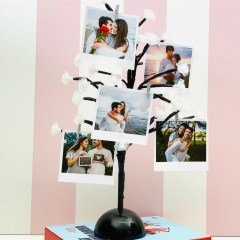 Işıklı Hayat Ağacı