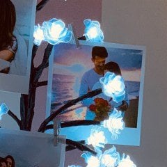 Işıklı Hayat Ağacı