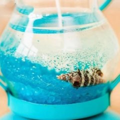 Jel Mum Gemici Feneri Kandil Şeklinde Dekoratif Mum