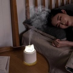 Led Işıklı Sevimli Kedi Hava Nemlendiricili Gece Lambası