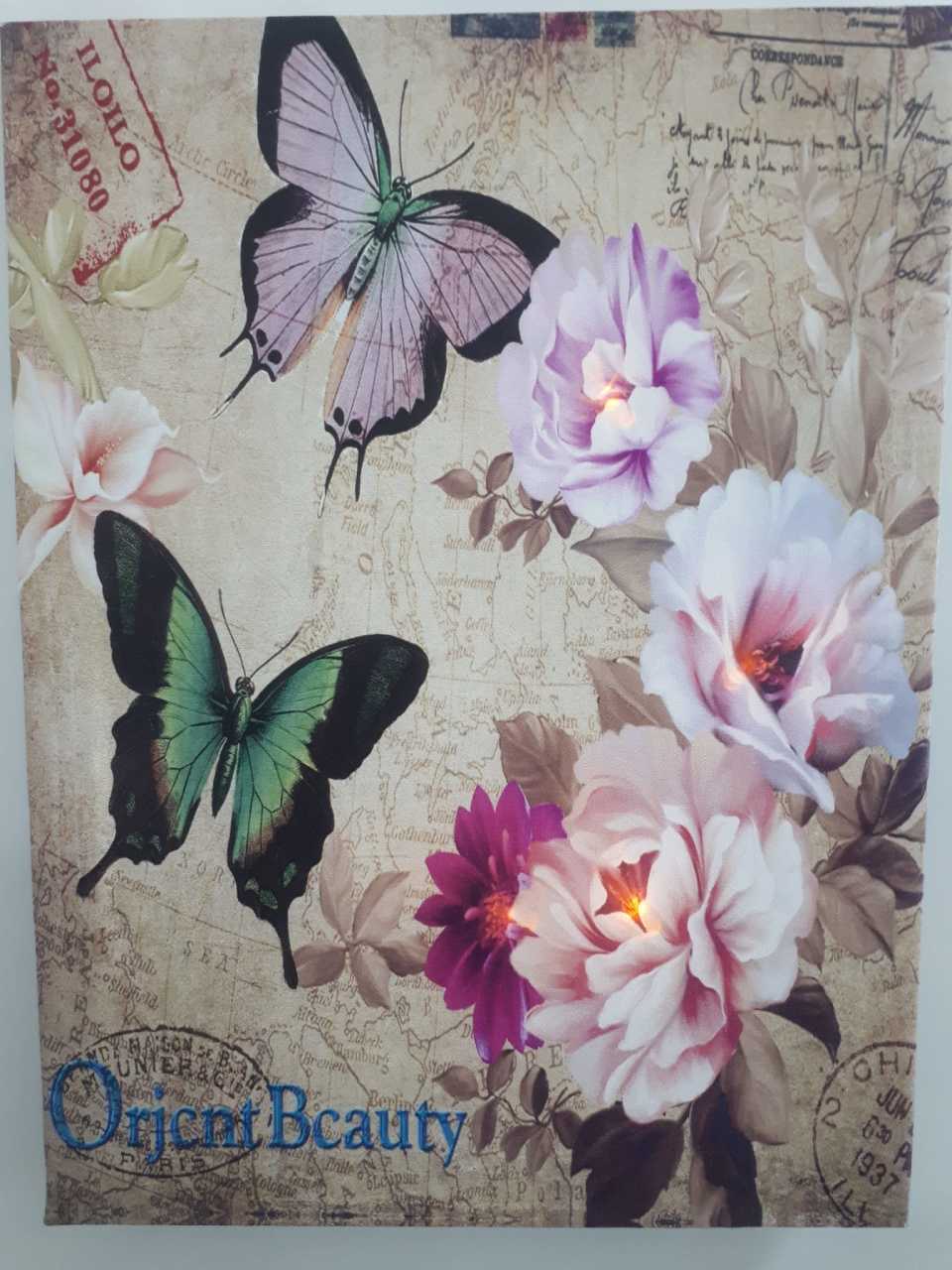 Kelebek Çiçek Işıklı Kanvas Tablo 30x40 Cm