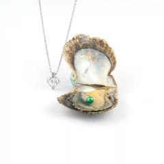 Gerçek İstiridye İçinde İnci Takı Seti