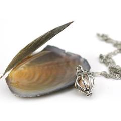 Gerçek İstiridye İçinde İnci Takı Seti