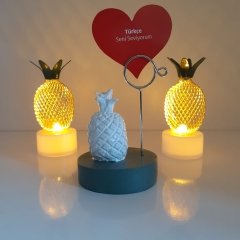 Ananas Not Tutacağı