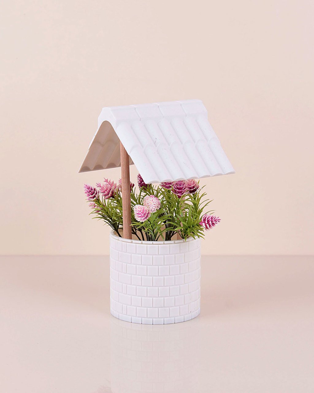 Eva Kuyu Saksılı Çiçek