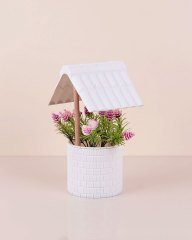 Eva Kuyu Saksılı Çiçek