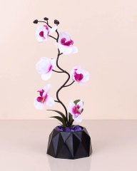 Prizma Saksı Büyük Orkide